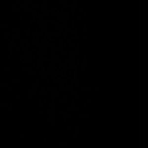 Meet your Posher, Rose